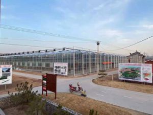 日光溫室建设需要考虑那些因素