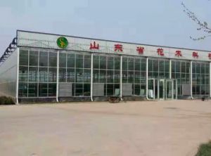 工程视频案例